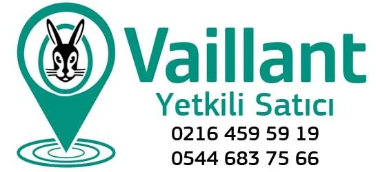 Erenköy tesisat ve kombi servisi