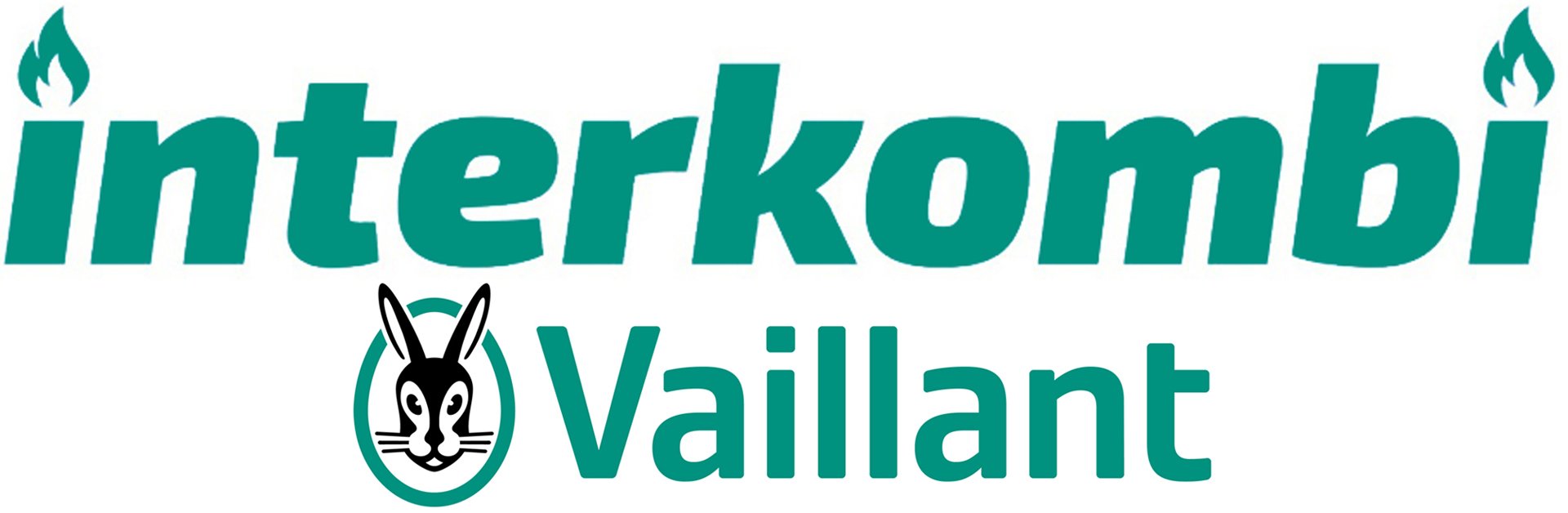 Vaillant Orijinal Yedek Parça